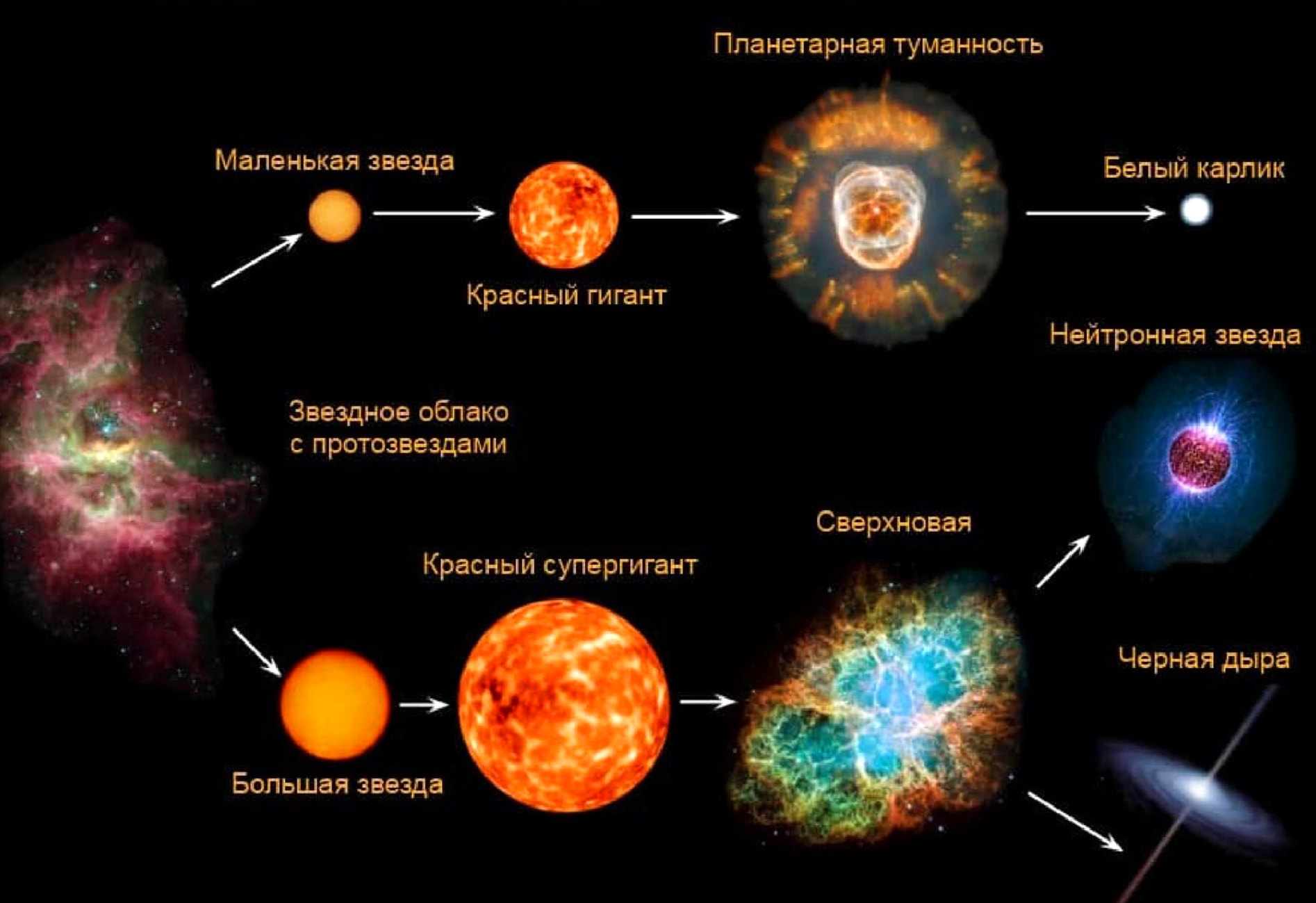 Жизненный цикл солнца фото